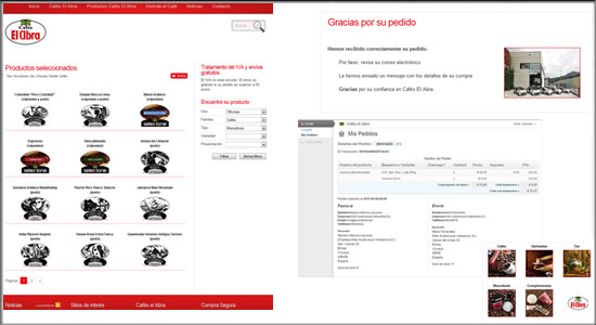 Diseño Web